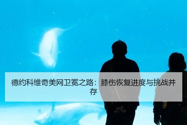 de-yue-ke-wei-qi-mei-wang-wei-mian-zhi-lu-xi-shang-hui-fu-jin-du-yu-tiao-zhan-bing-cun-2-889.jpg